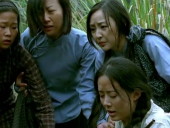 点击观看《《我是中国人》完整版》