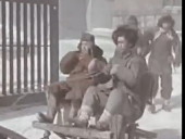 《万木春》完整版