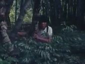 点击观看《《秘闯金三角》完整版》